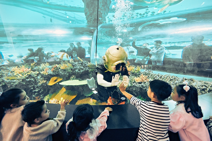 12-1cw26 영도 국립해양박물관2024